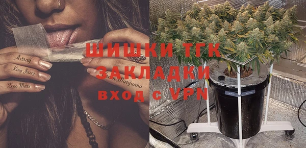амф Бронницы