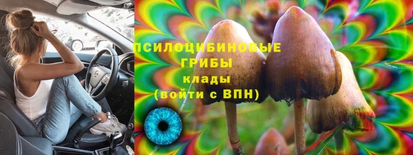 амф Бронницы